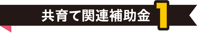 共育て関連補助金1