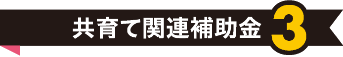 共育て関連補助金3