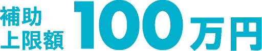 補助上限額 100万円