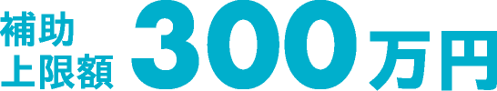 補助上限額 300万円